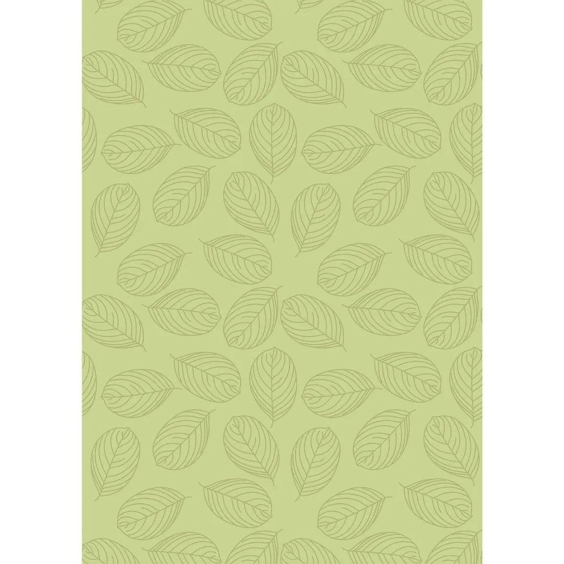 Coleman Maranta S