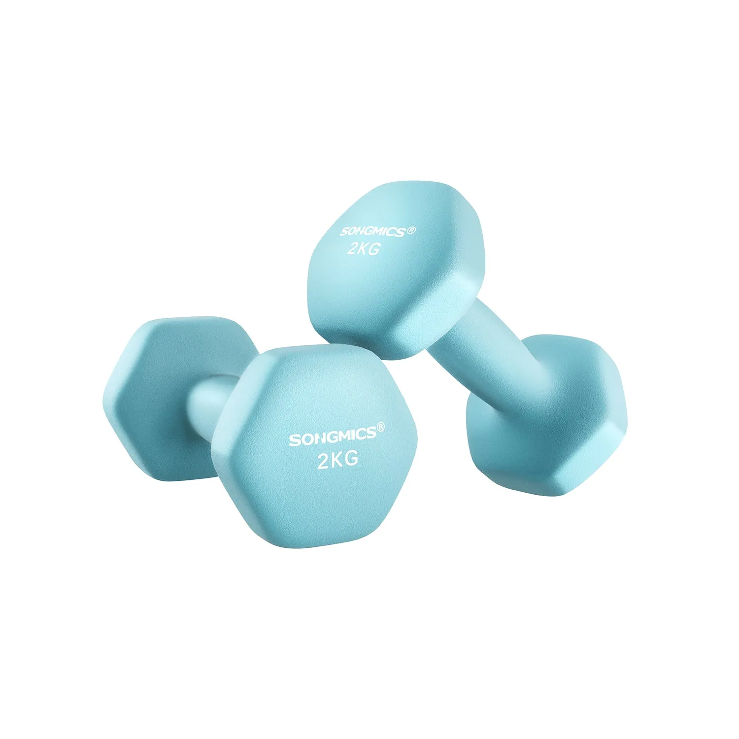 Set of 2 Dumbbells